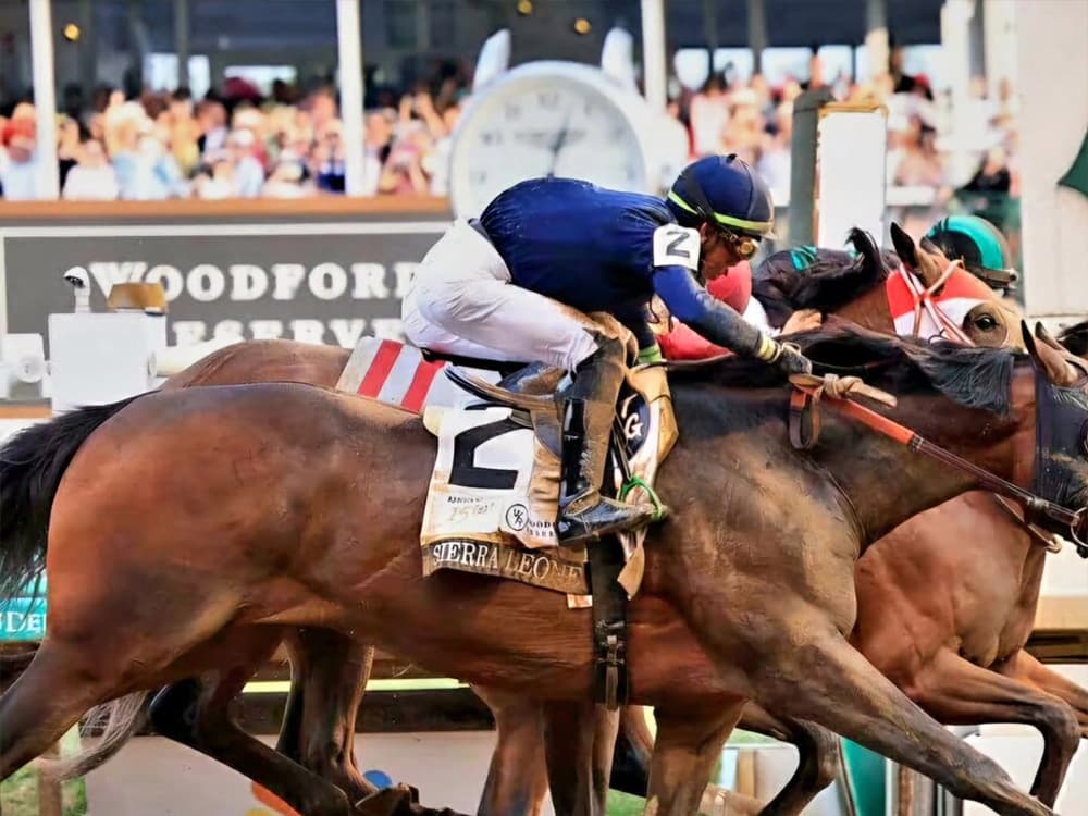 A jockey races on a horse as they approach the finish line, with a cheering crowd in the background.